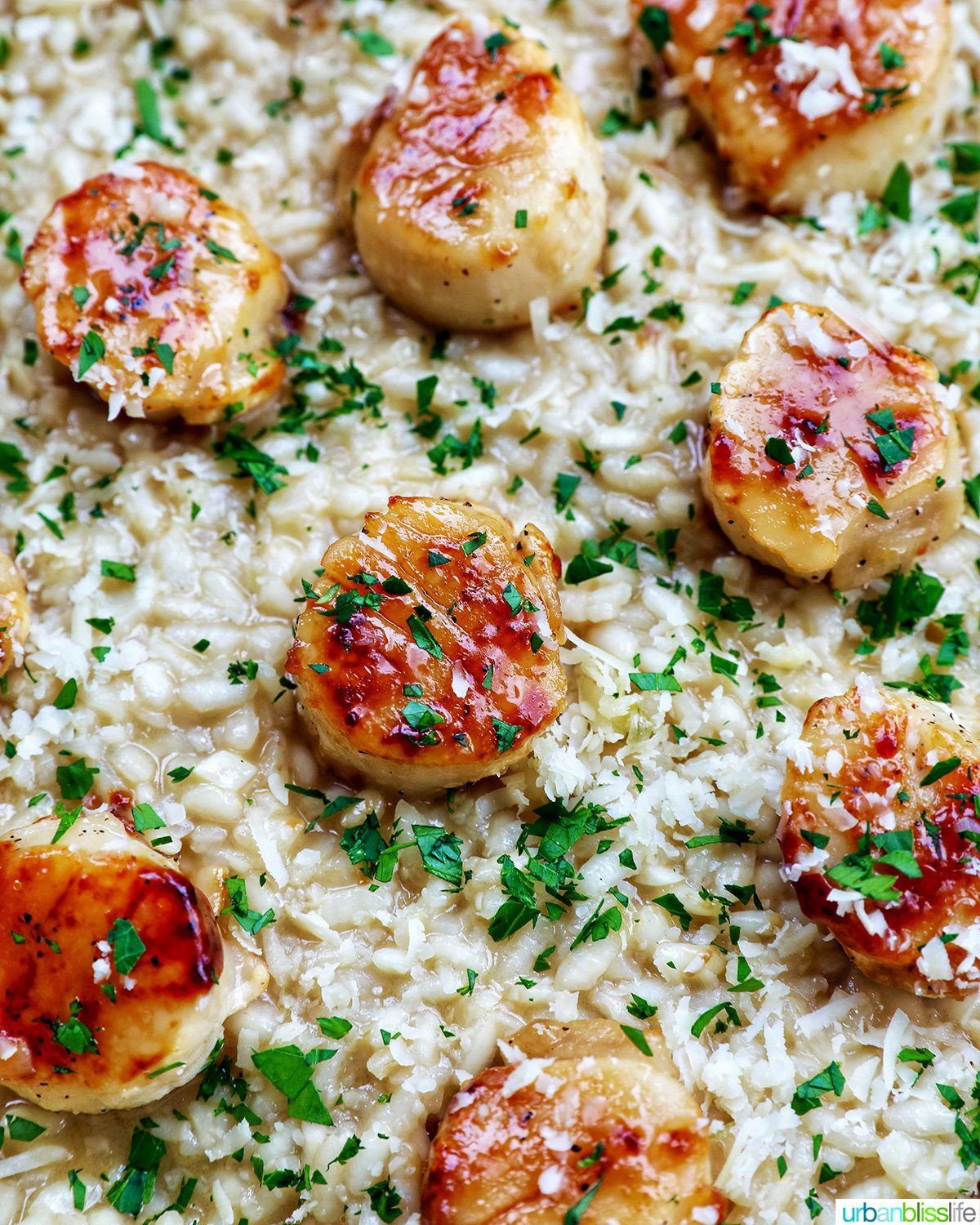 scallop risotto with lemon wedge and parsley garnish.