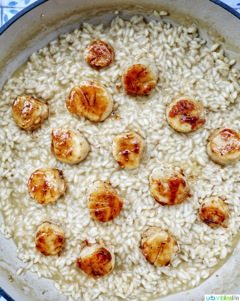 scallops added to risotto cooking.