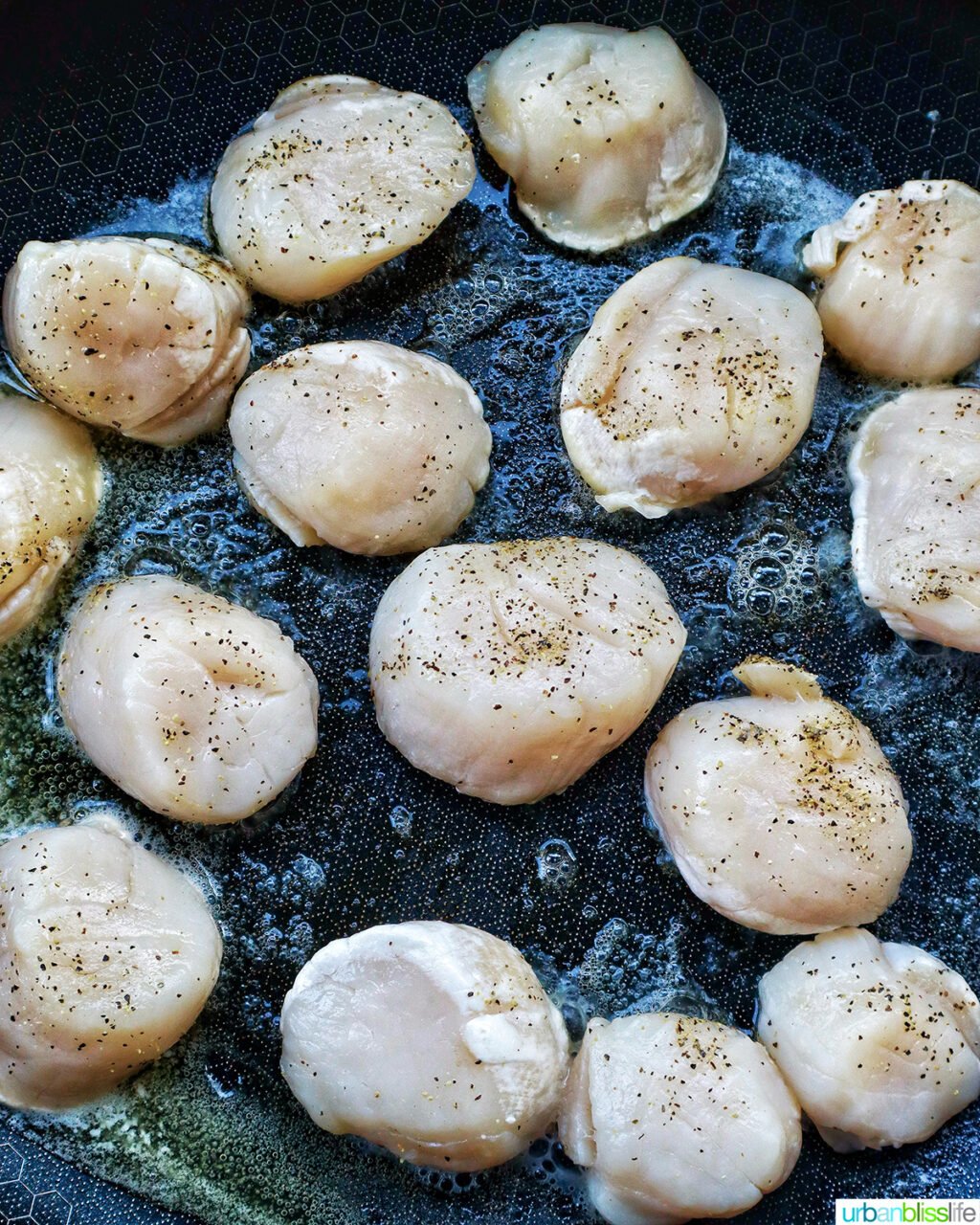 raw scallops searing in cast iron skillet.