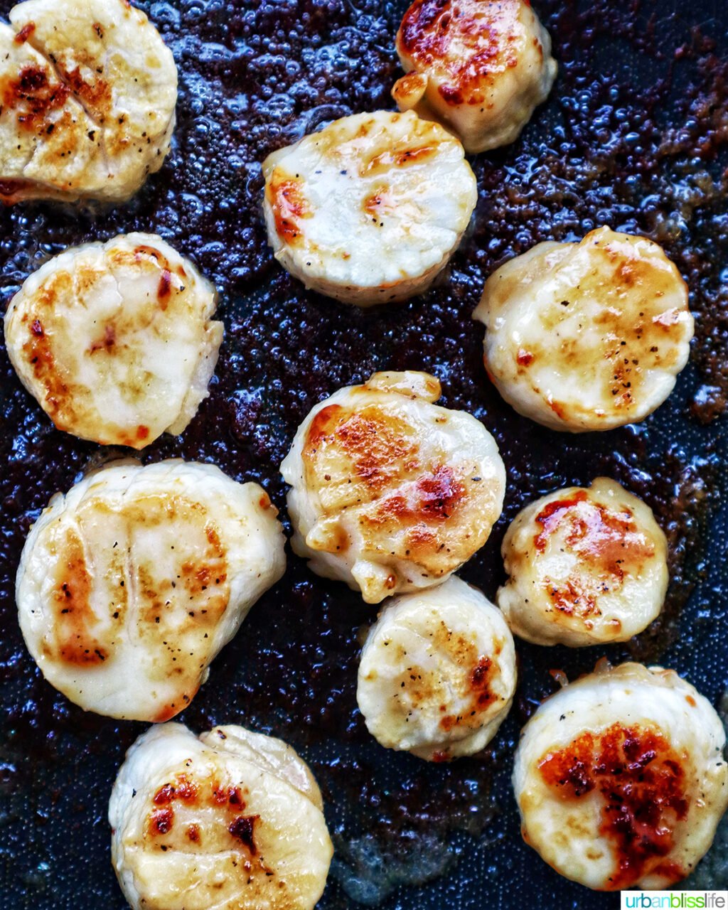 raw scallops searing in cast iron skillet.