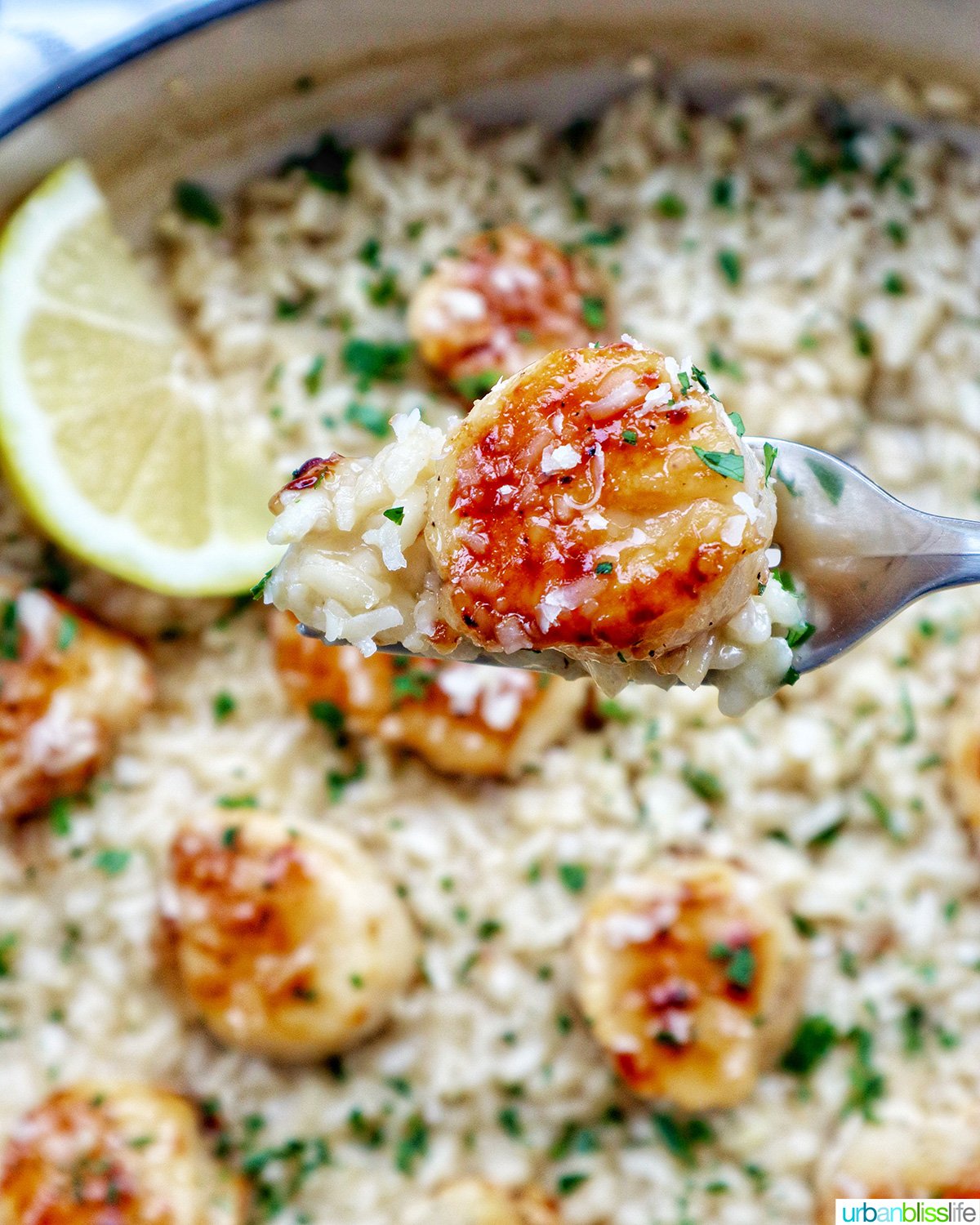 scallop risotto with lemon wedge and parsley garnish.