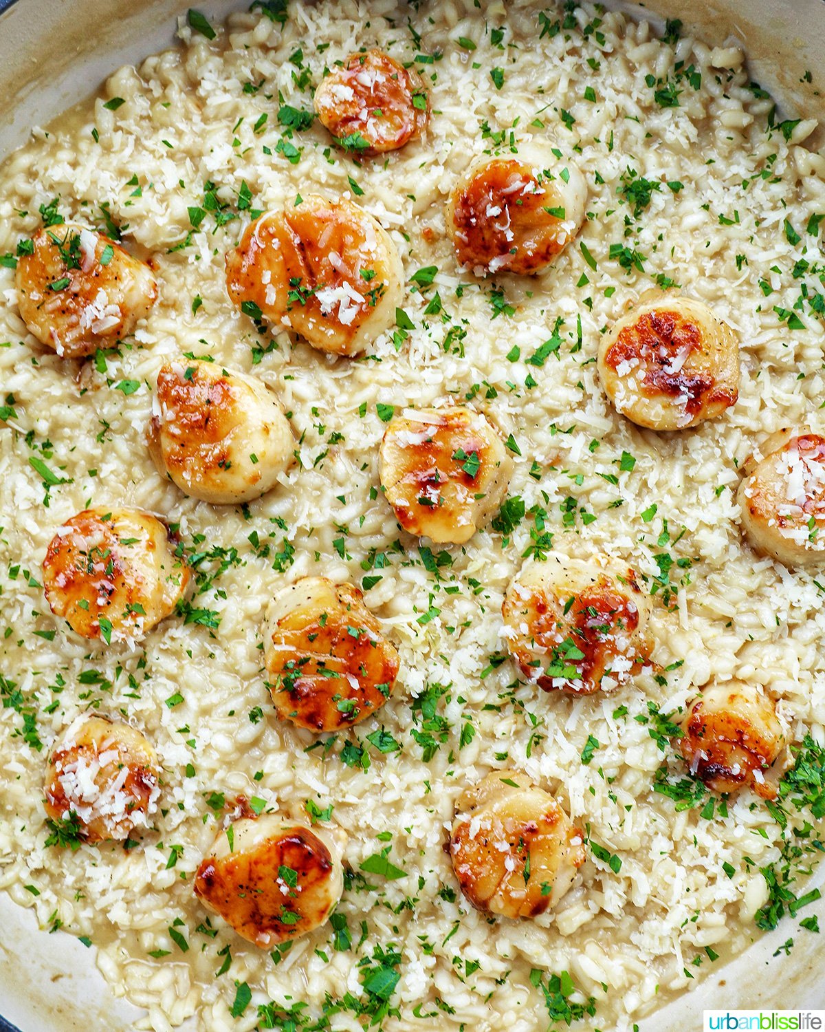 braising pan with scallop risotto with lemon wedge and parsley garnish.