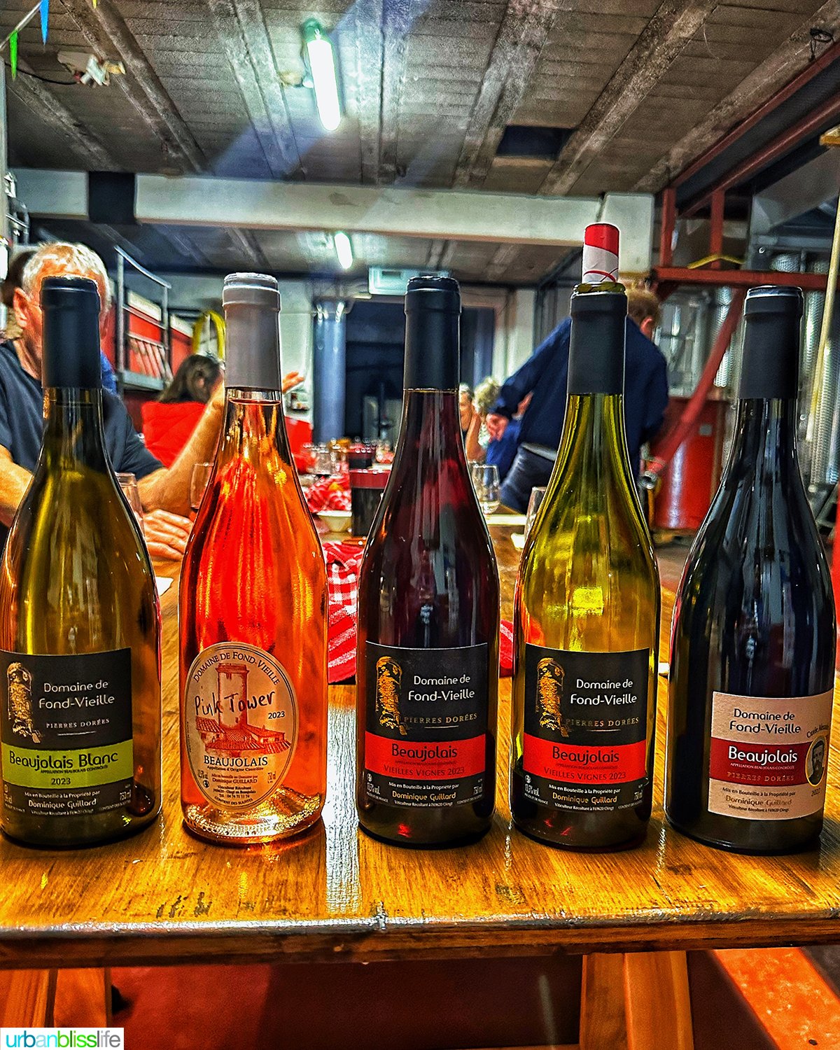 bottles of wine at Domaine De Fond-vieille in Beaujolais, France