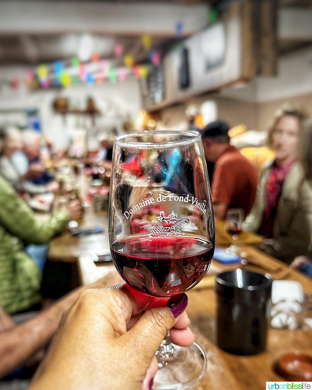 glass of old vines beaujolias at Domaine De Fond-vieille