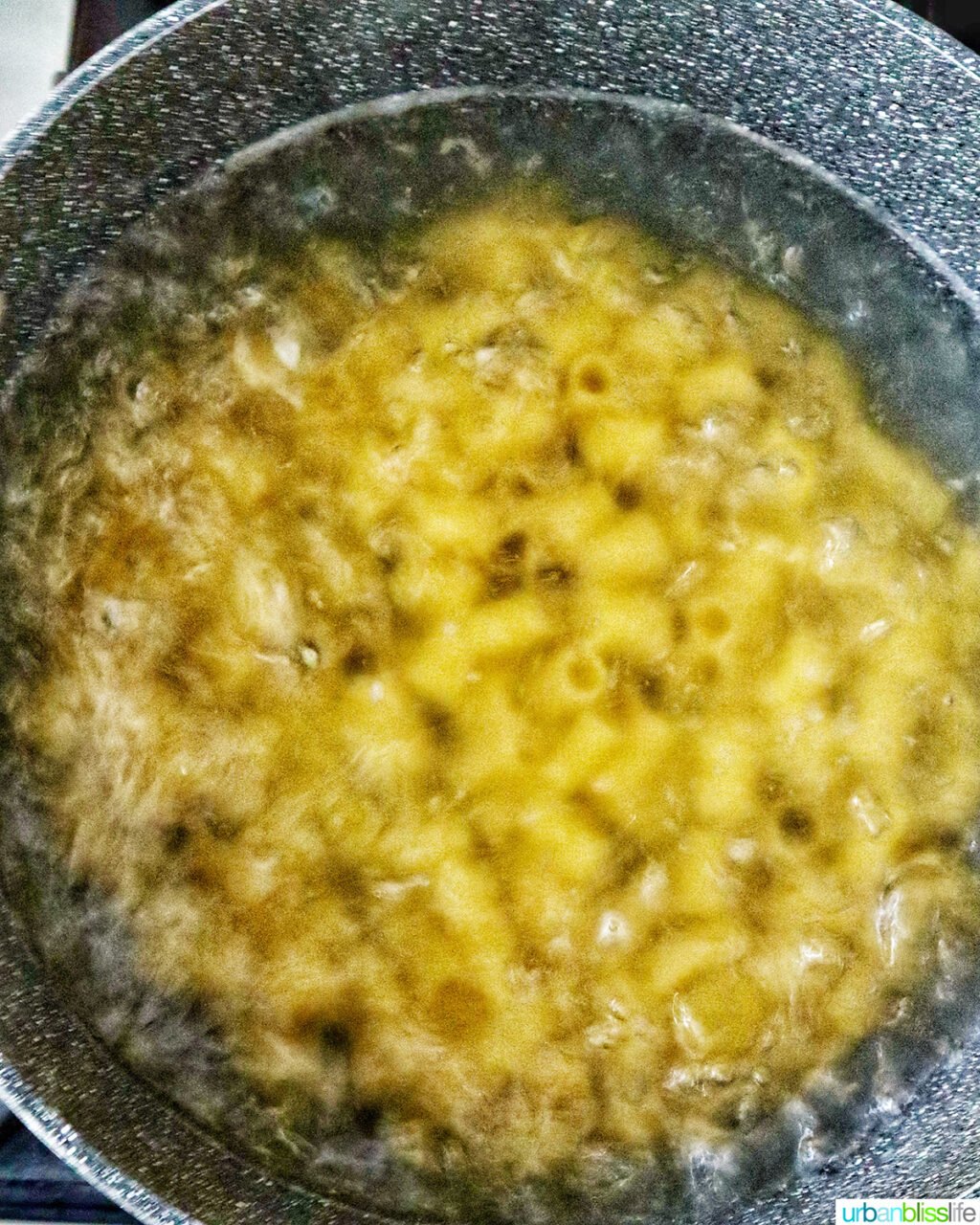 pasta in a pot of boiling water.