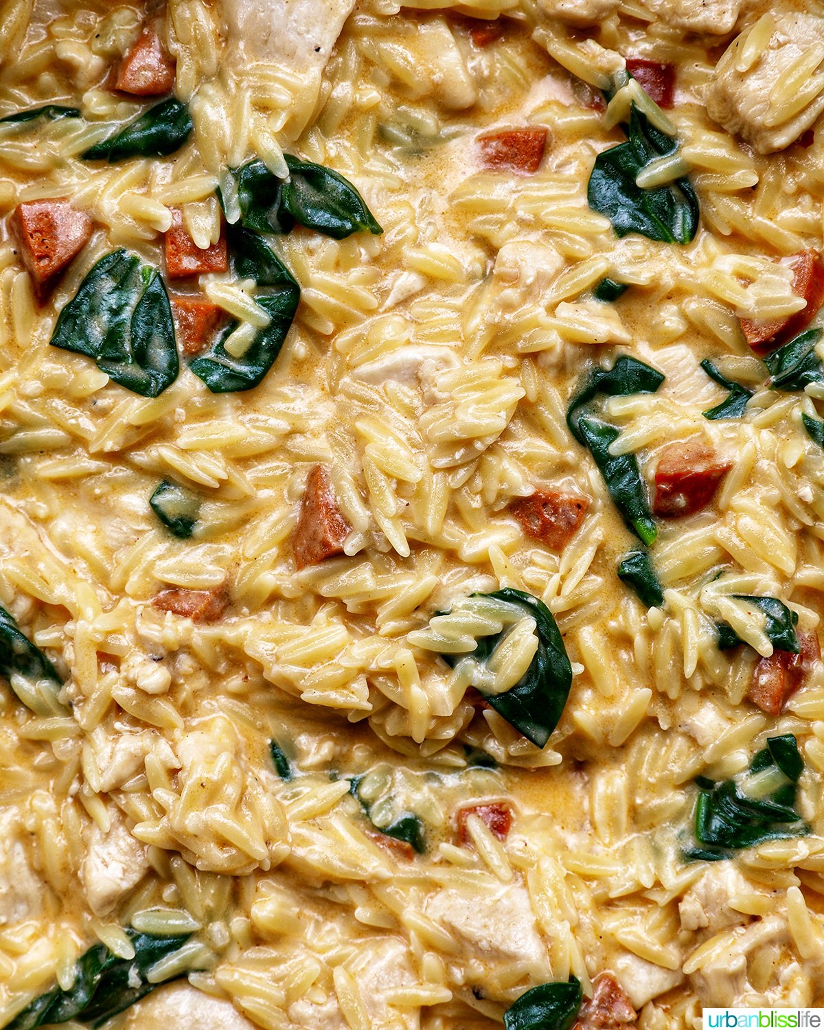 chicken and chorizo orzo.