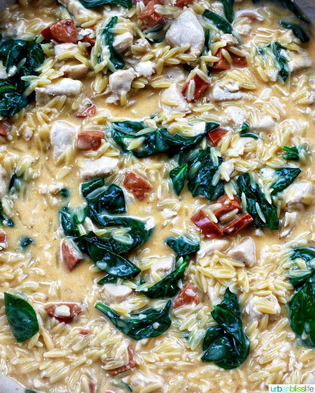 chicken chorizo orzo in a pan.