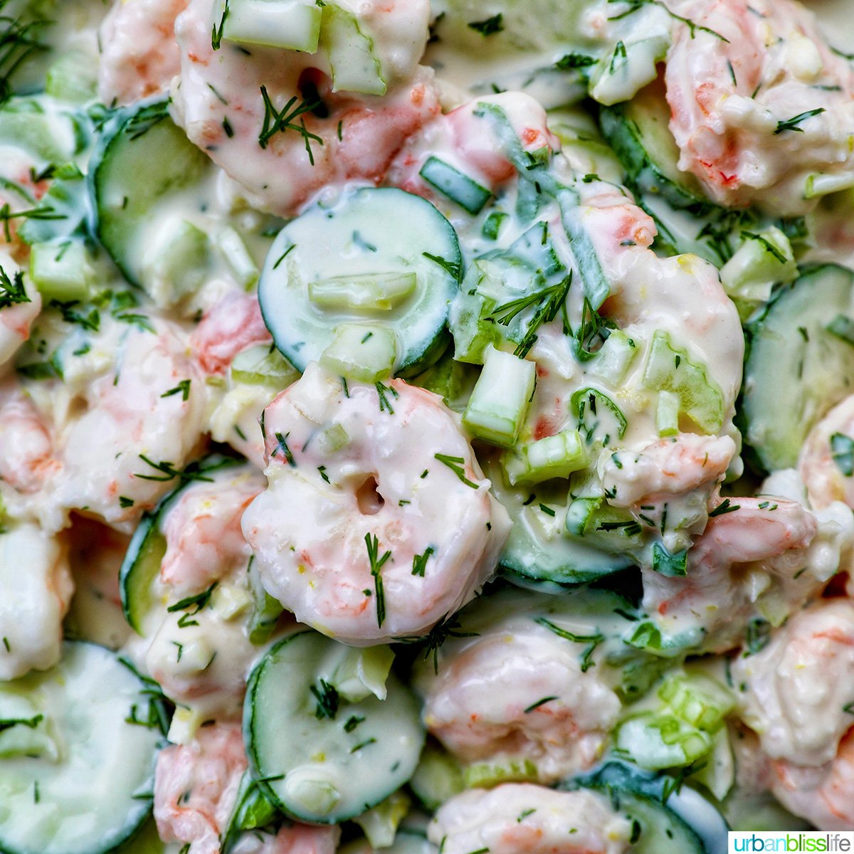 cucumber shrimp salad.