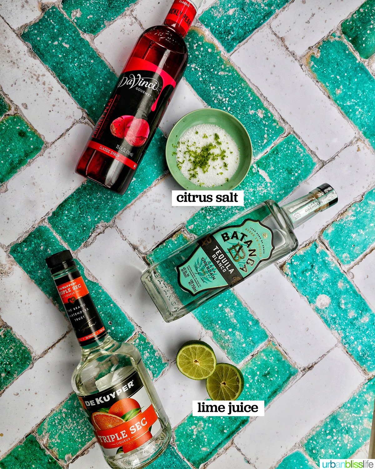 ingredients to make a prickly pear margarita.