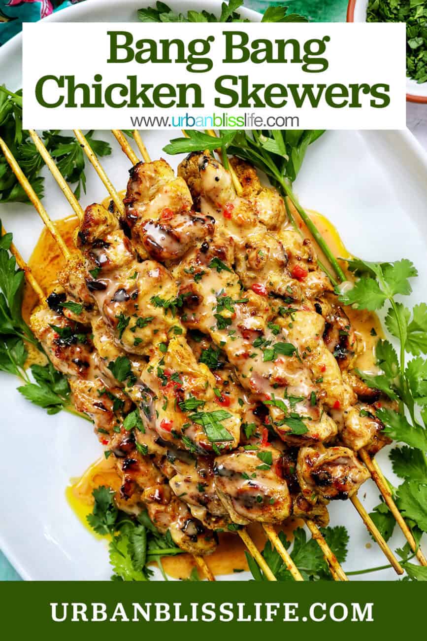 bang bang chicken skewers with title text overlay.