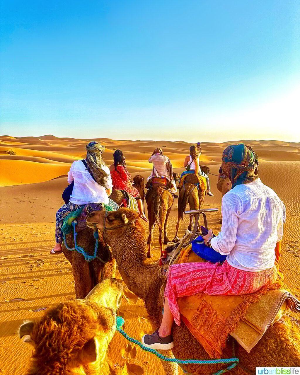 group of women riding camels in the sahara desert in Morocco.