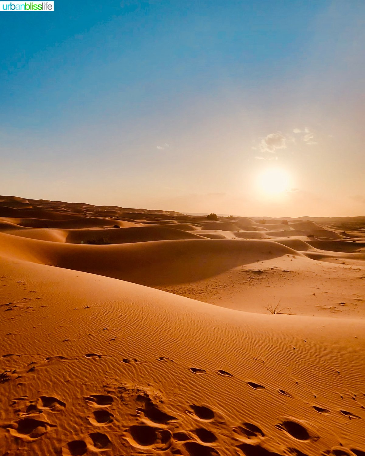 sahara desert