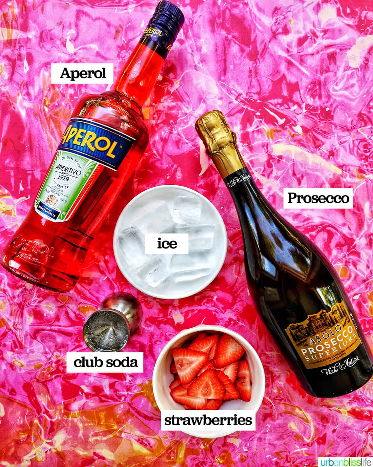 ingredients to make Marlynn Jayme Schotland holding a glass of strawberry spritz.