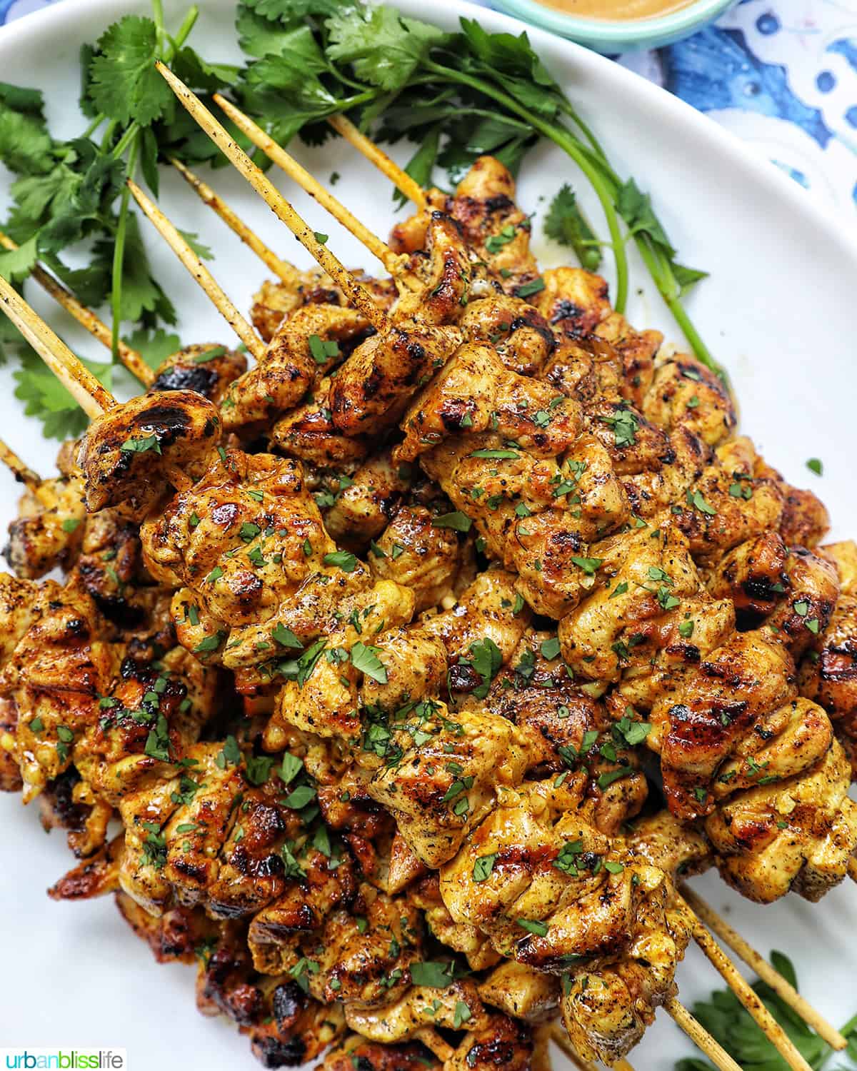 tandoori chicken skewers.