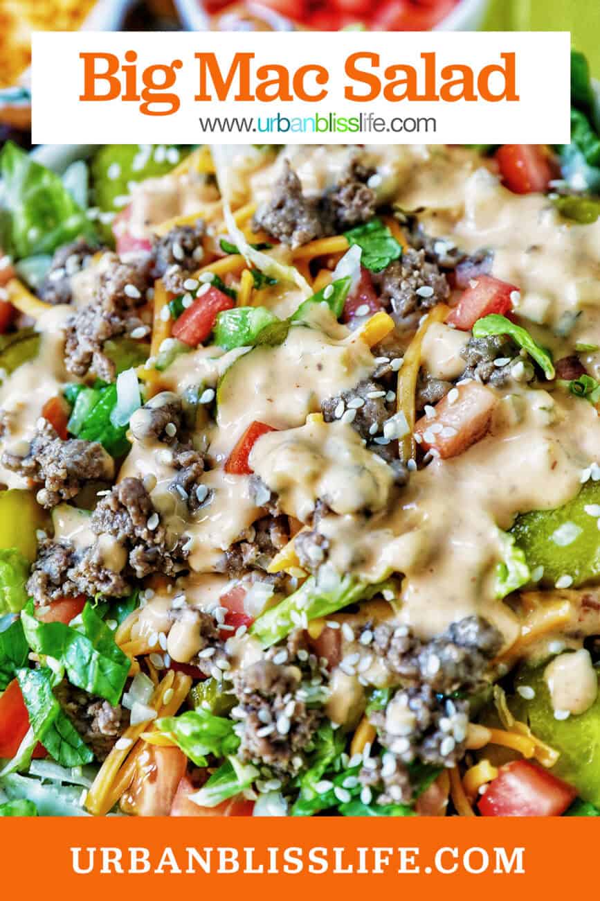 big bowl of Big Mac salad with toppings and Big Mac burger sauce dressing.