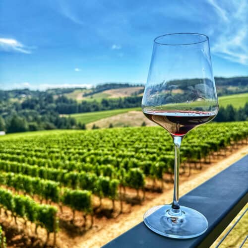 glass of red wine overlooking LucidWild vineyard