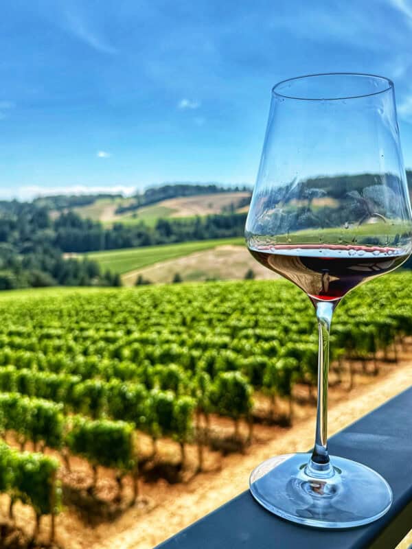 glass of red wine overlooking LucidWild vineyard