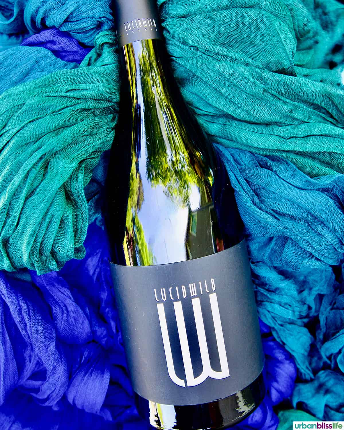 bottle of LucidWild Chosen pinot noir