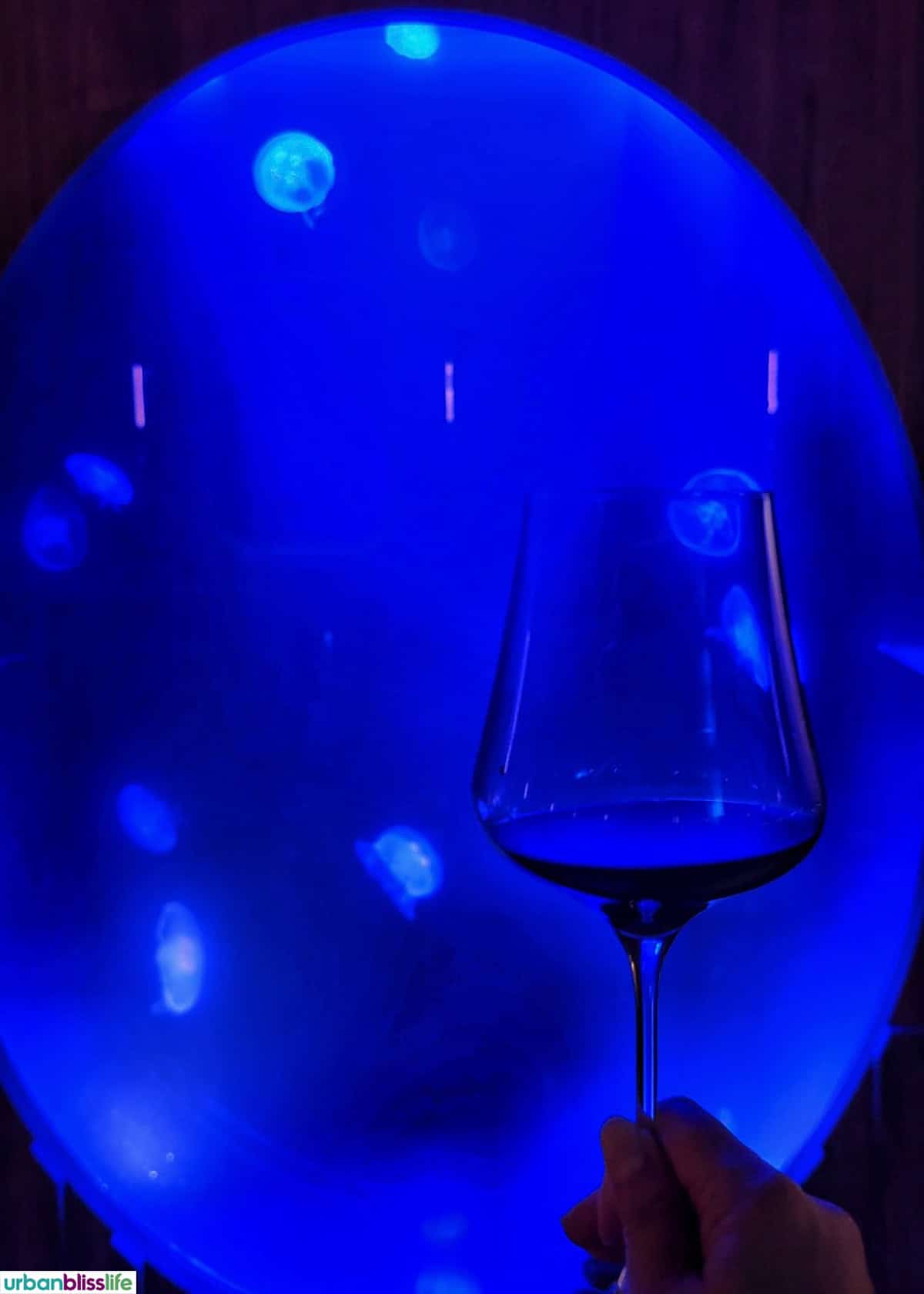 jellyfish at LucidWild winery