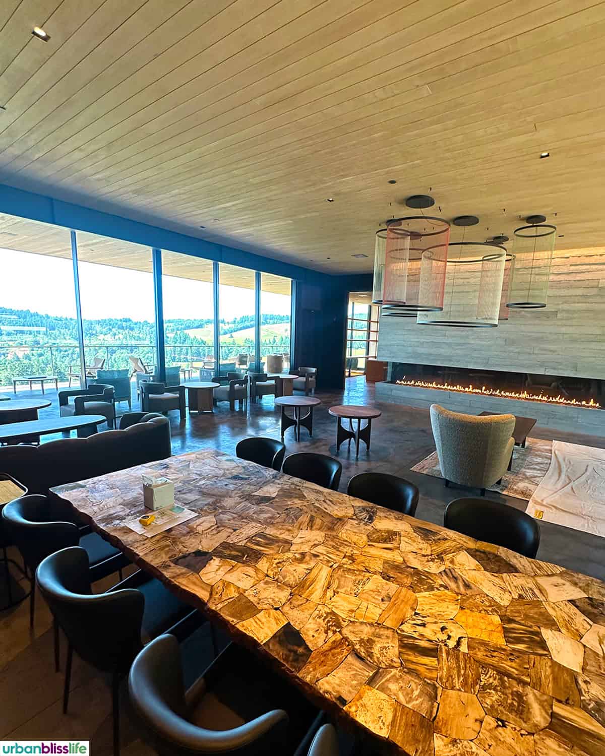 LucidWild LivingRoom