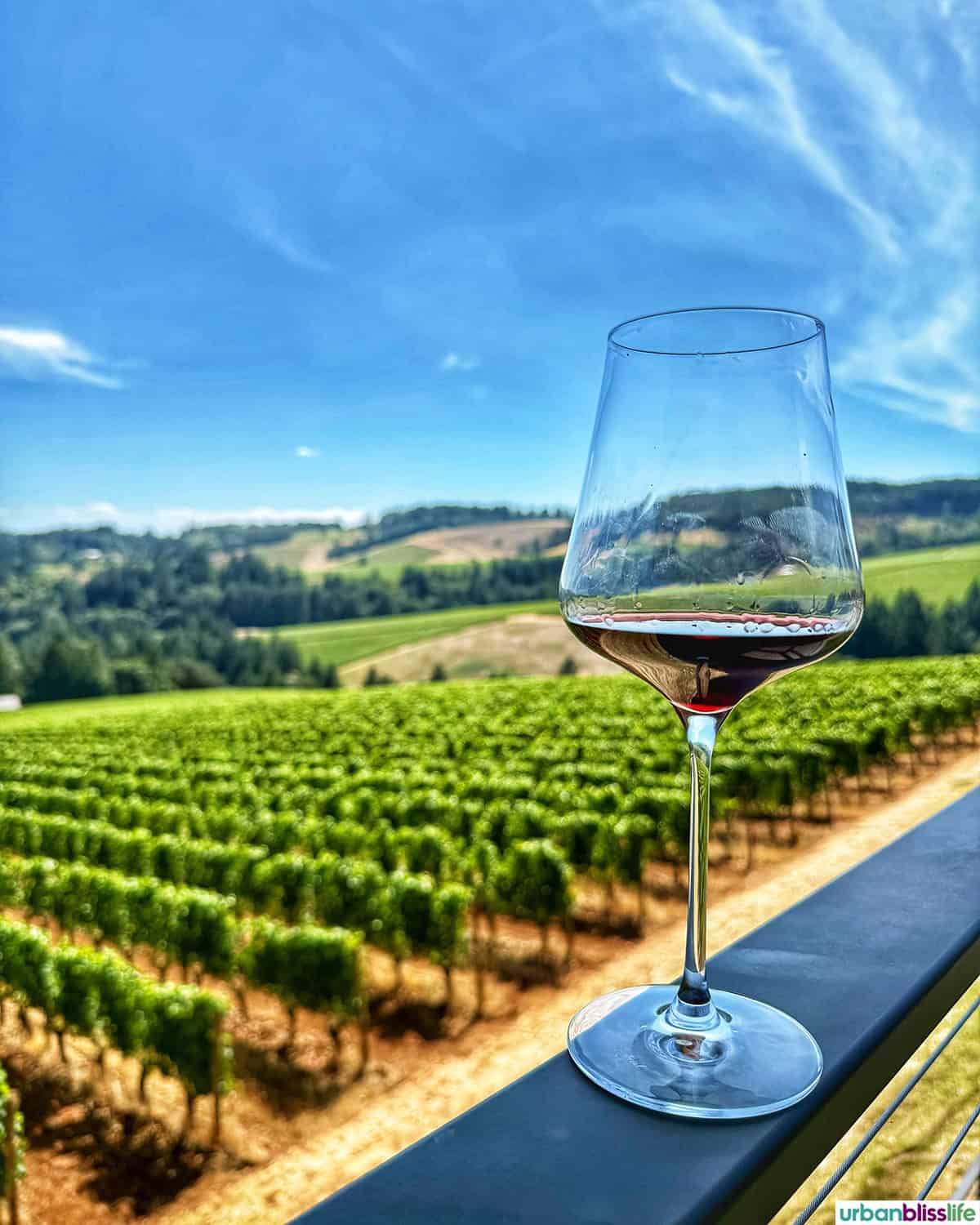 glass of red wine on railing overlooking Lucid Wild vineyard
