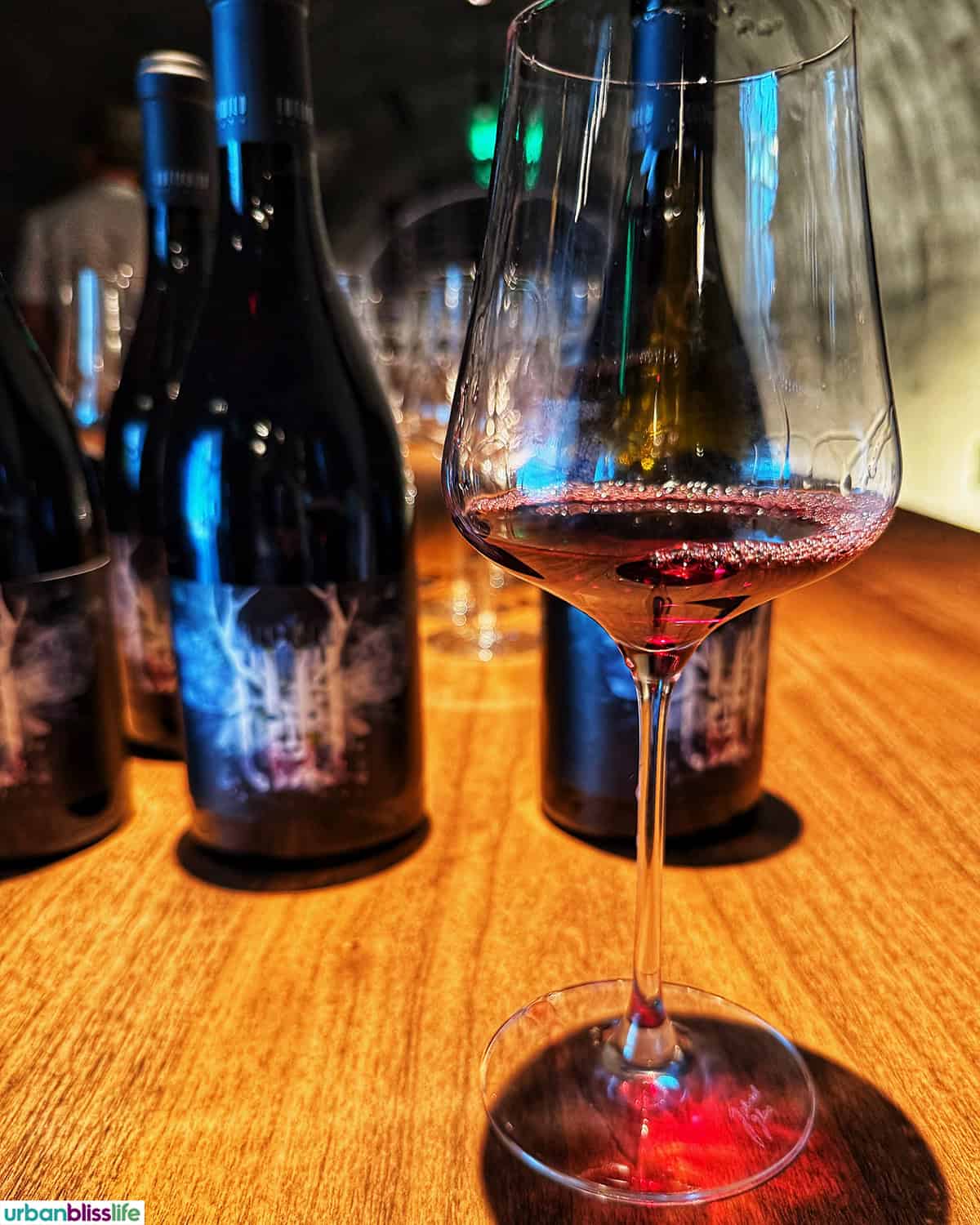 bottle and glass of LucidWild Beast pinot noir