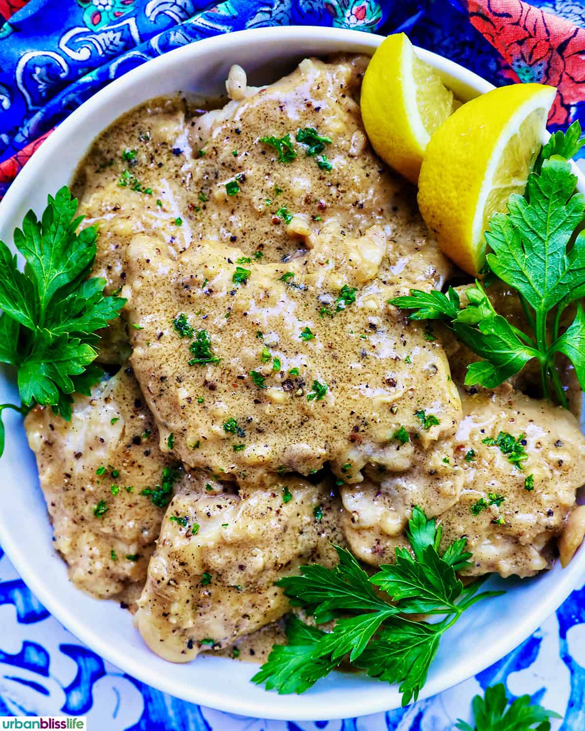 bowl of Chicken au Poivre with lemon slices and herbs.