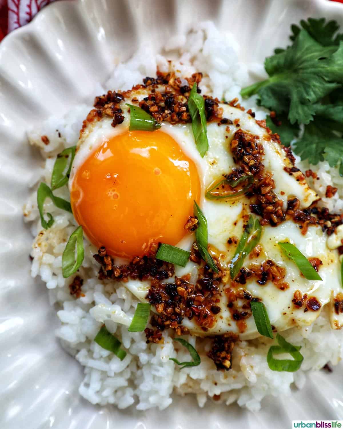 chili crisp egg on a plate.