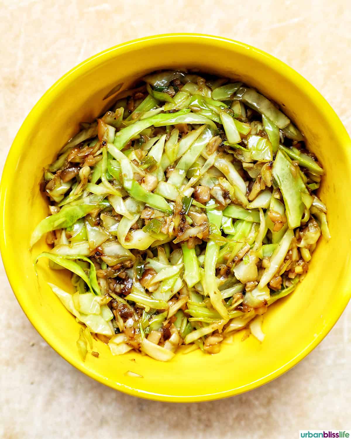 vegetable filling for crispy rice paper dumplings in a bowl.