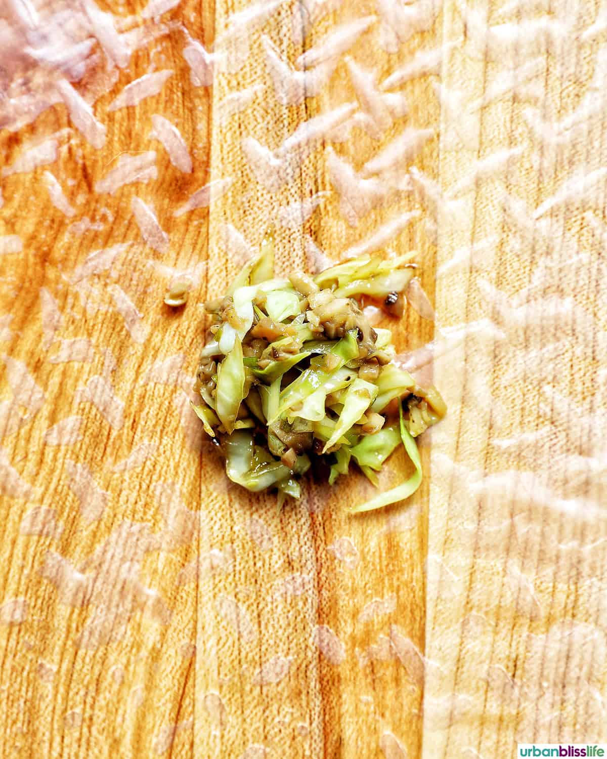 vegetable filling on top of a rice paper wrapper.