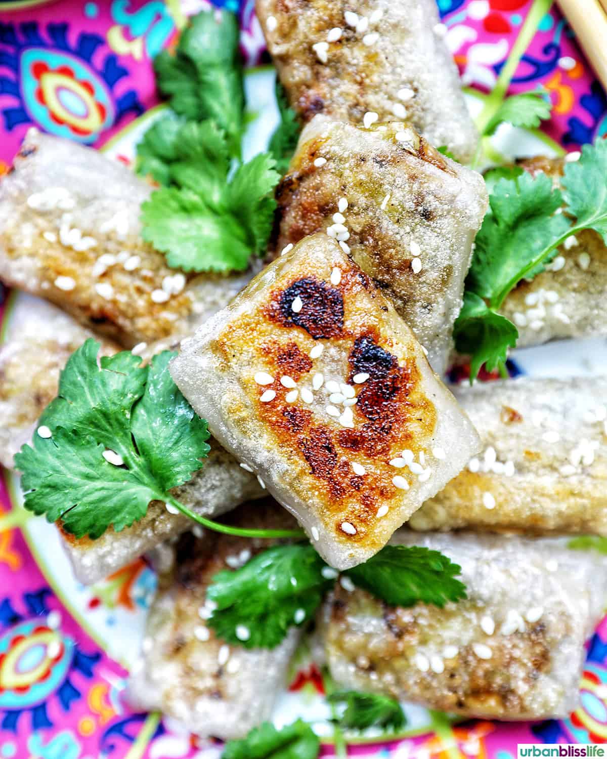 crispy rice paper dumplings on a plate with herbs.