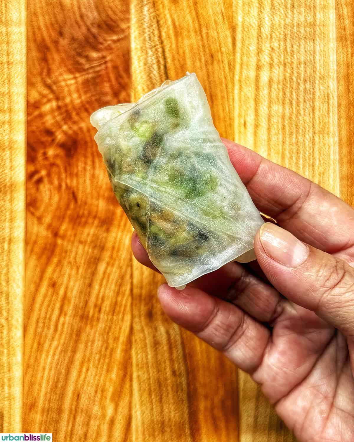 hand holding up a rolled rice paper dumpling.