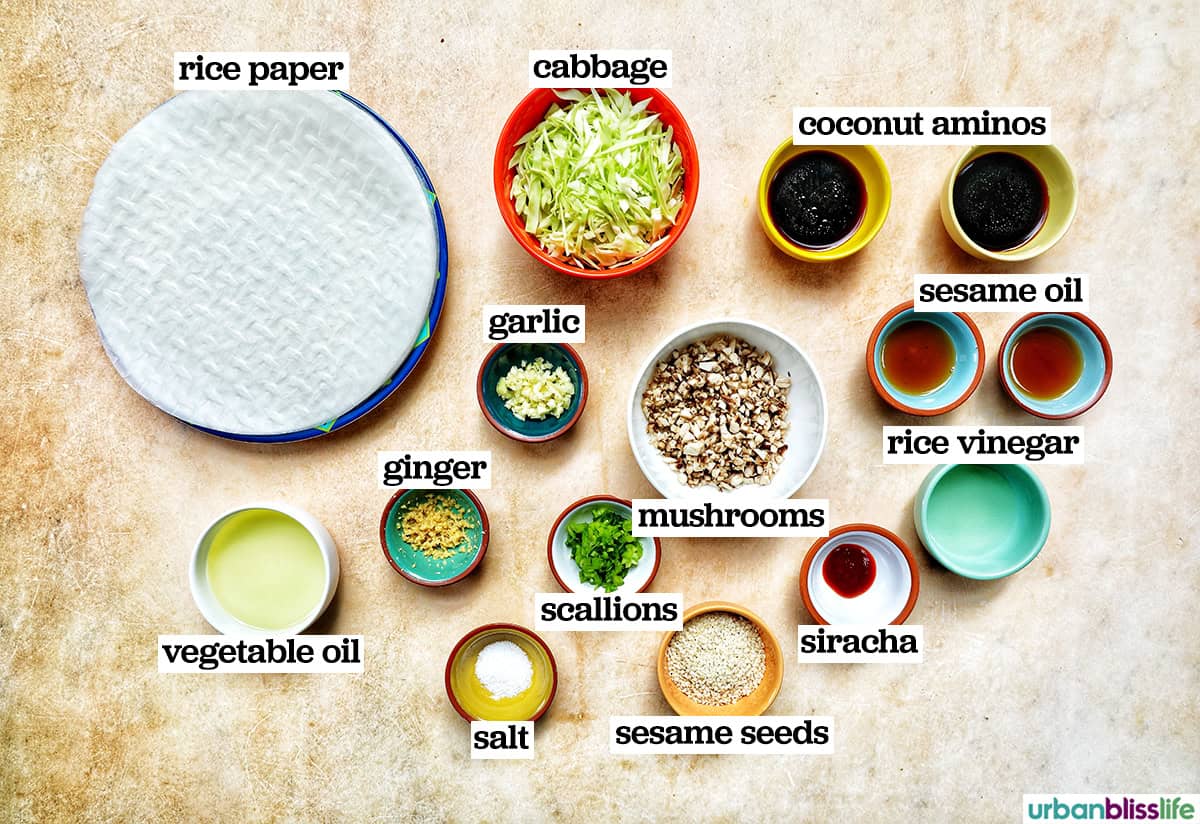 bowls of ingredients to make crispy rice paper dumplings.