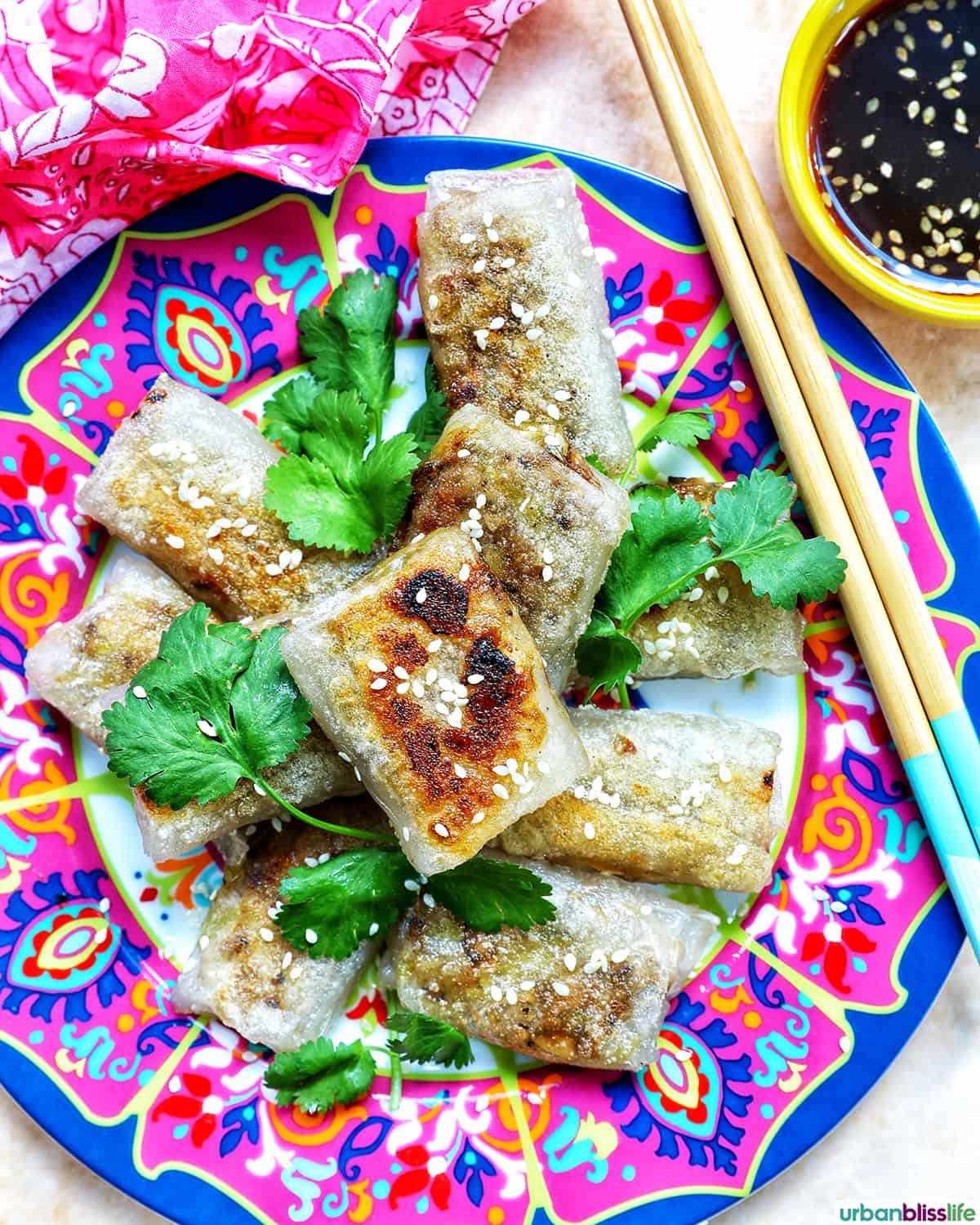 crispy rice paper dumplings on a plate with herbs.