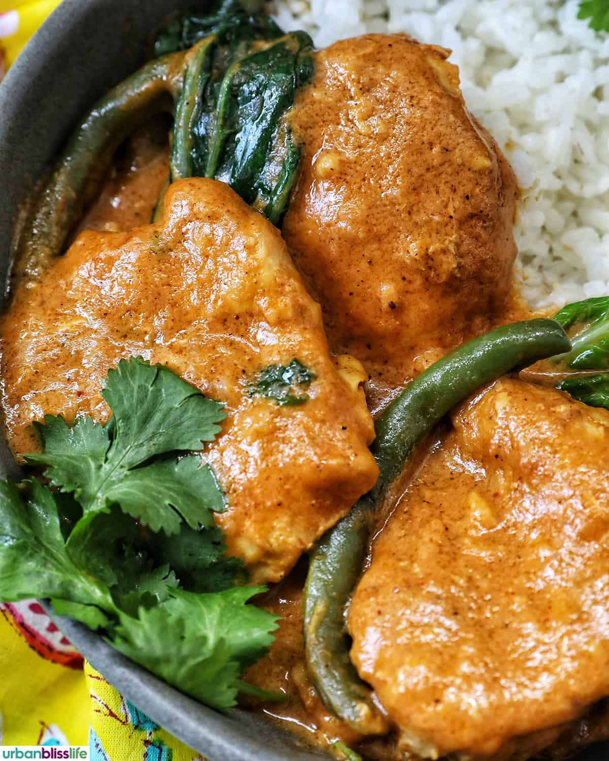 bowl of Filipino chicken kare kare and rice.