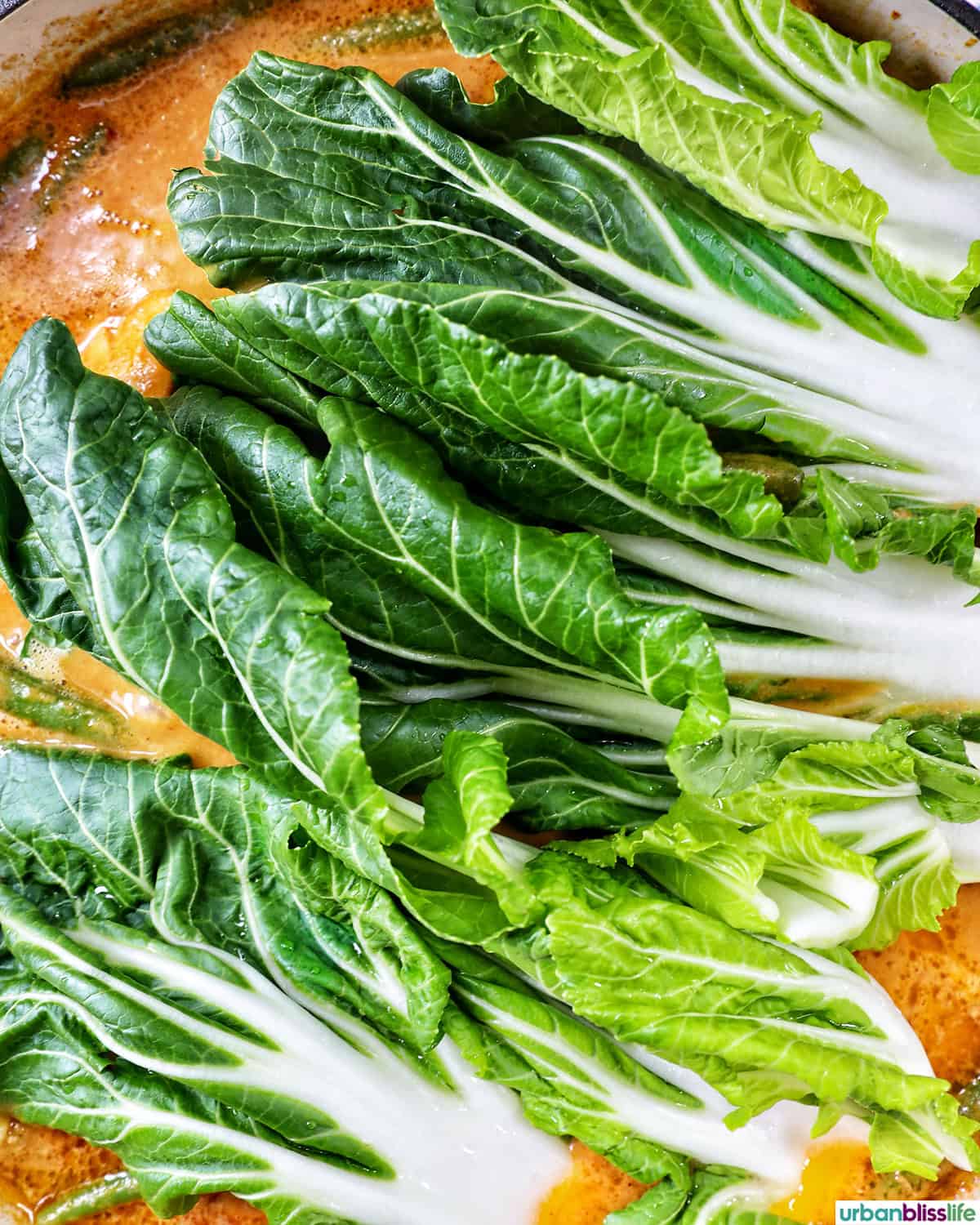 bok choy added to chicken kare kare.
