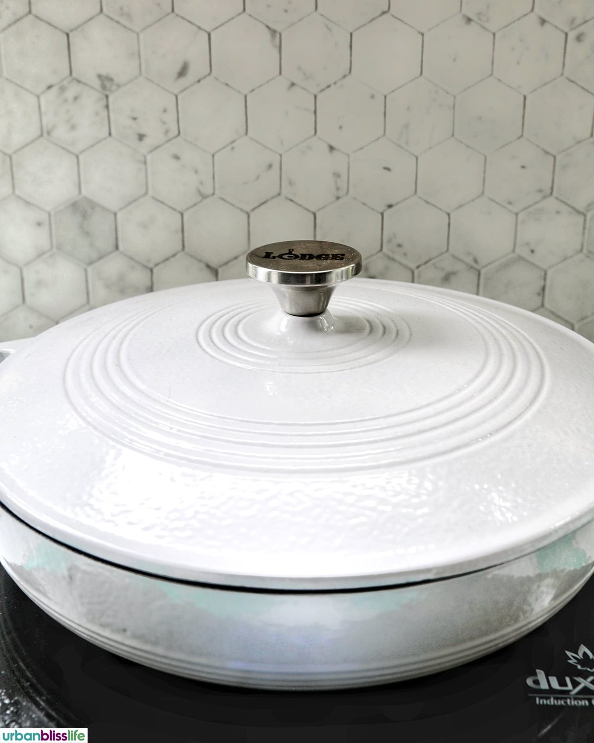 white lodge cast iron enameled casserole pan.