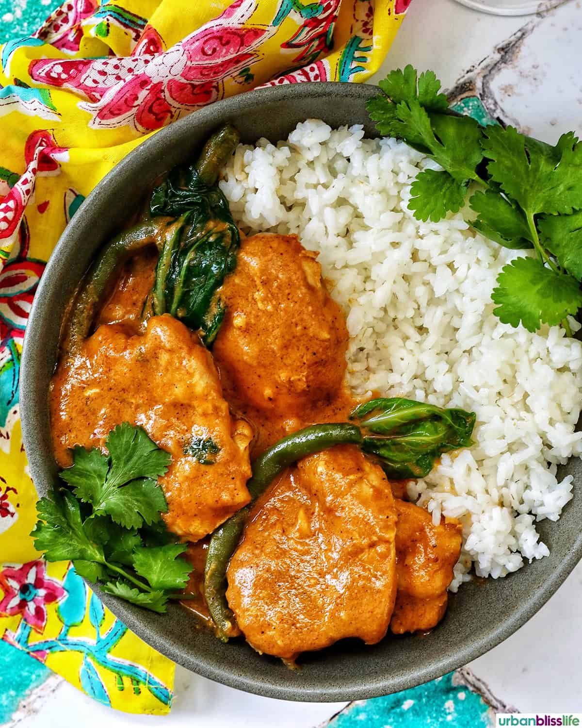 bowl of Filipino chicken kare kare.