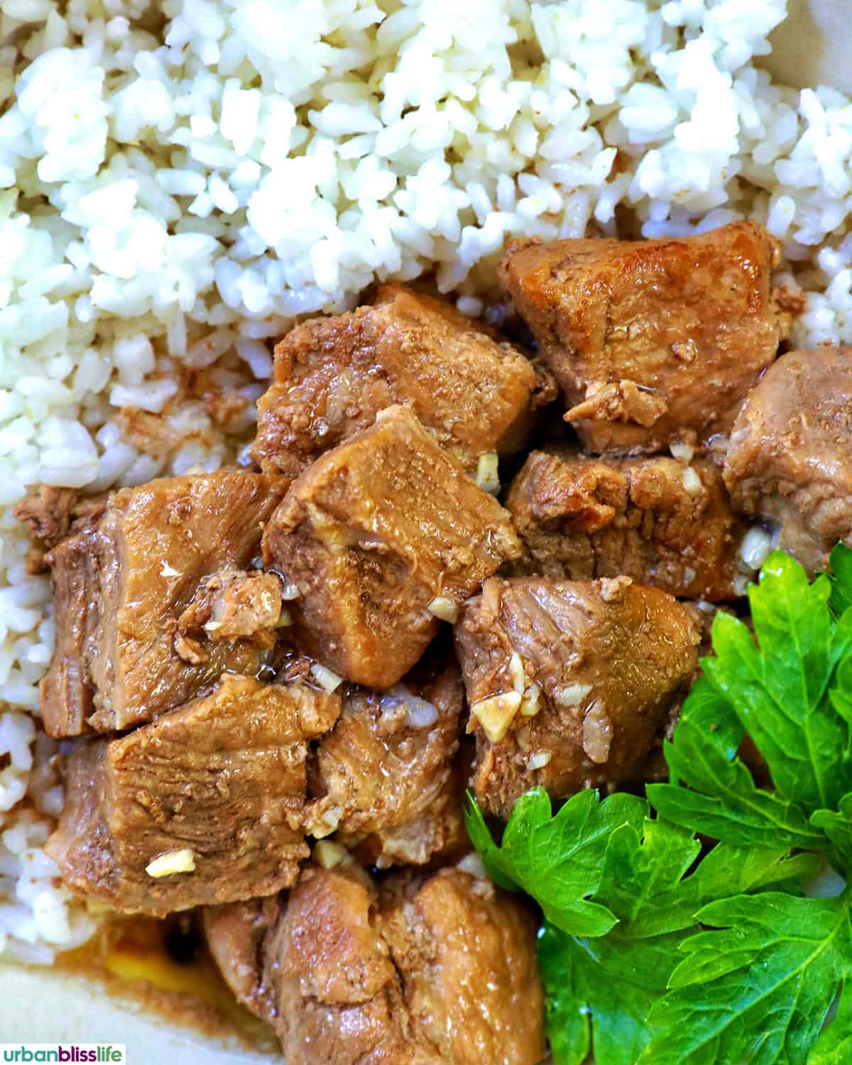 Filipino pork adobo with rice.
