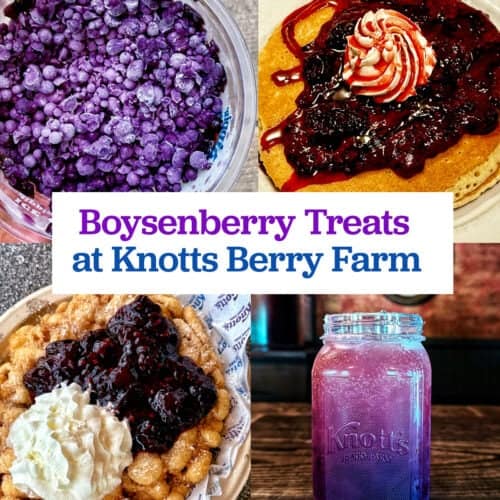 boysenberry foods with title text overlay.