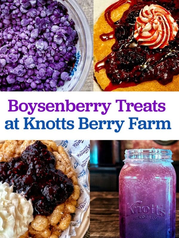 boysenberry foods with title text overlay.