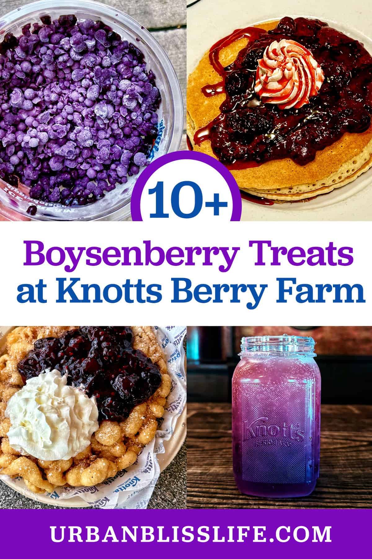 boysenberry foods with title text overlay.