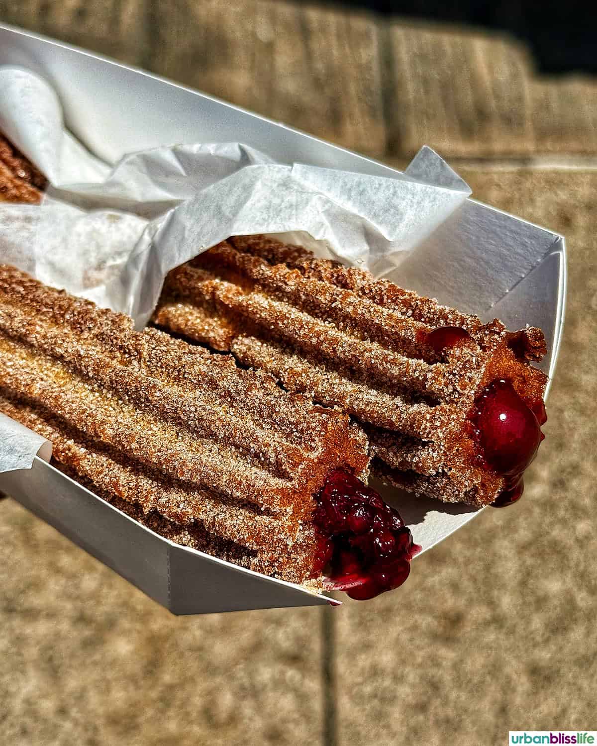 boysenberry stuffed churros.