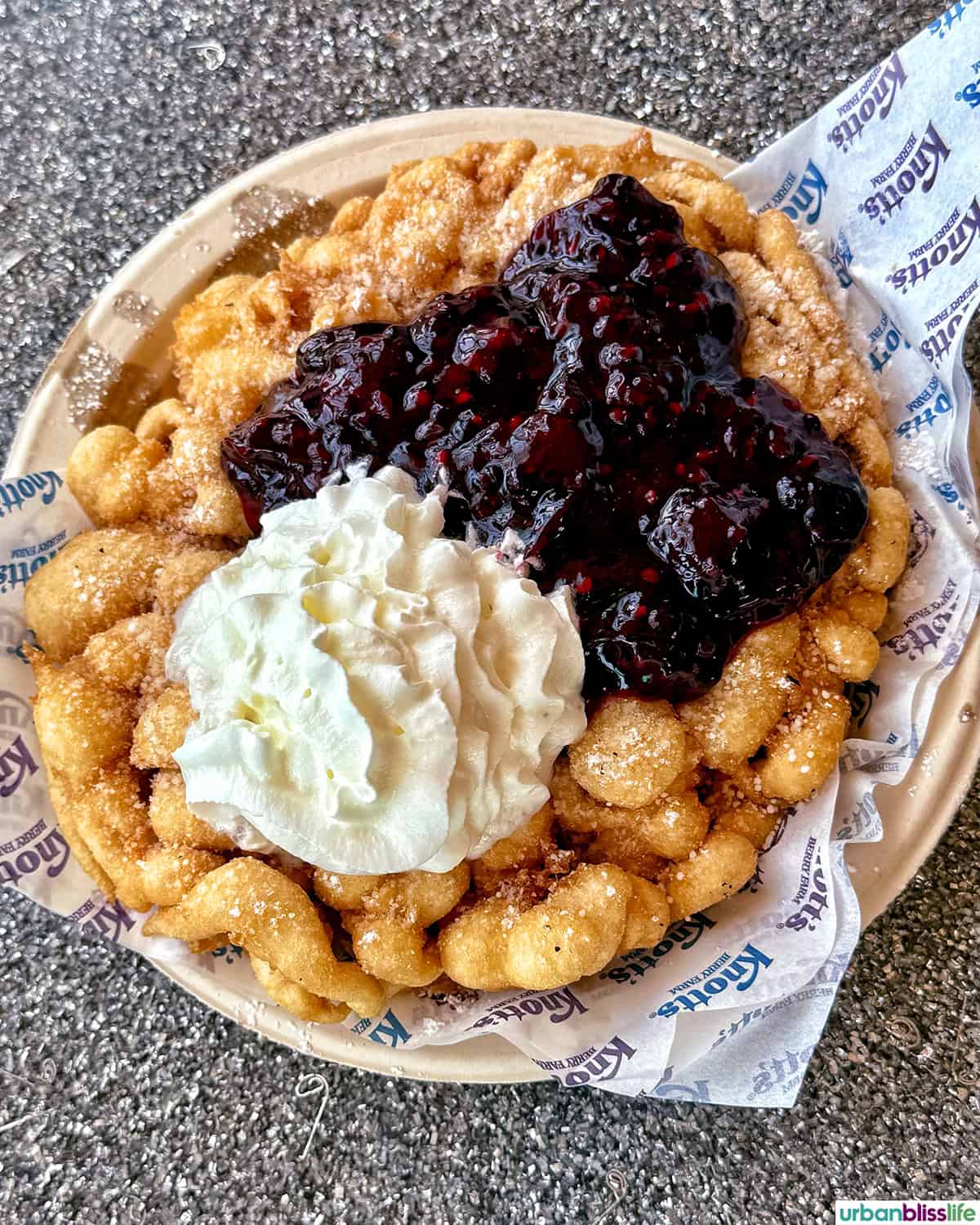boysenberry funnel cake.
