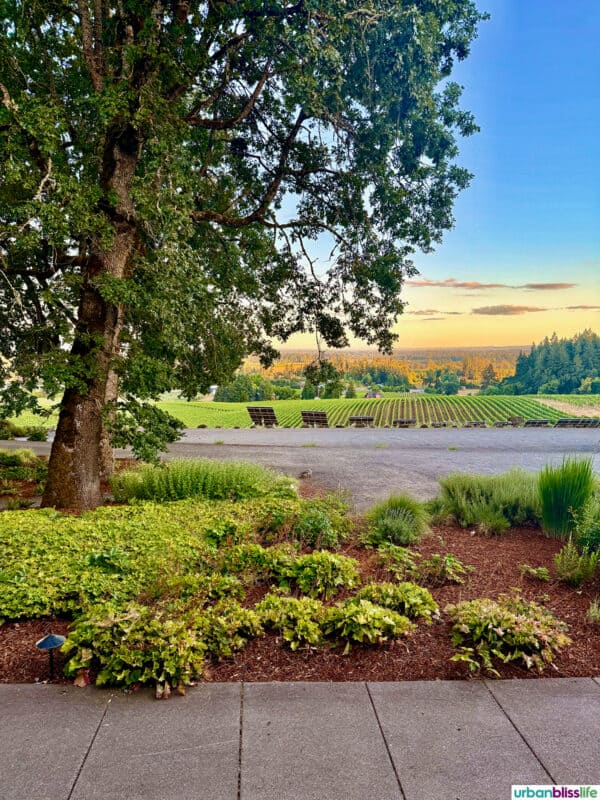 Oregon Sparkling Wine Celebration: Method Oregon - Urban Bliss Life