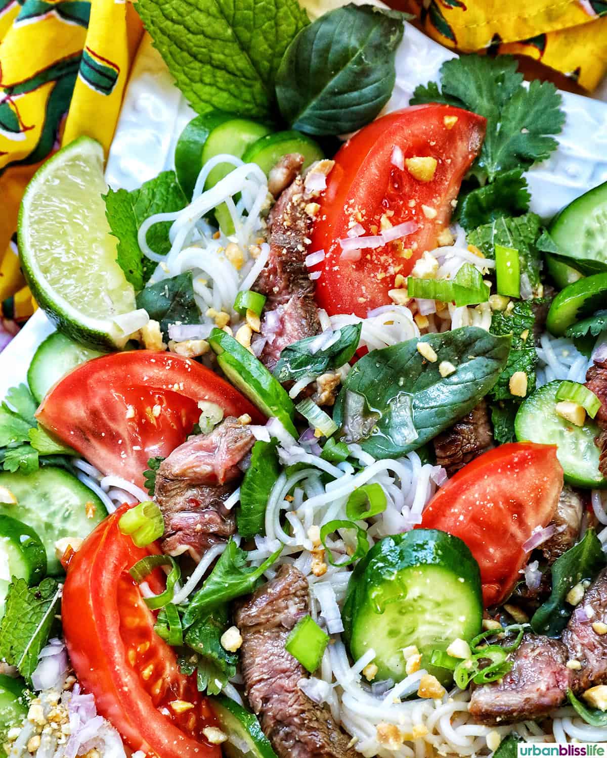 Thai Beef Noodle Salad with cucumbers, tomatoes, and lime wedges.