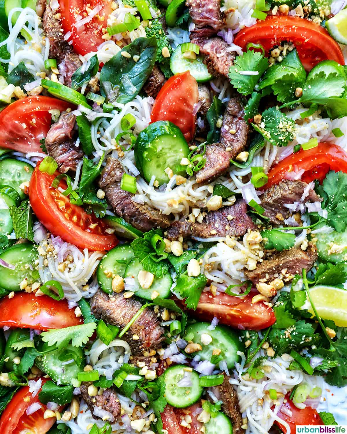 Thai Beef Noodle Salad with cucumbers, tomatoes, and lime wedges.