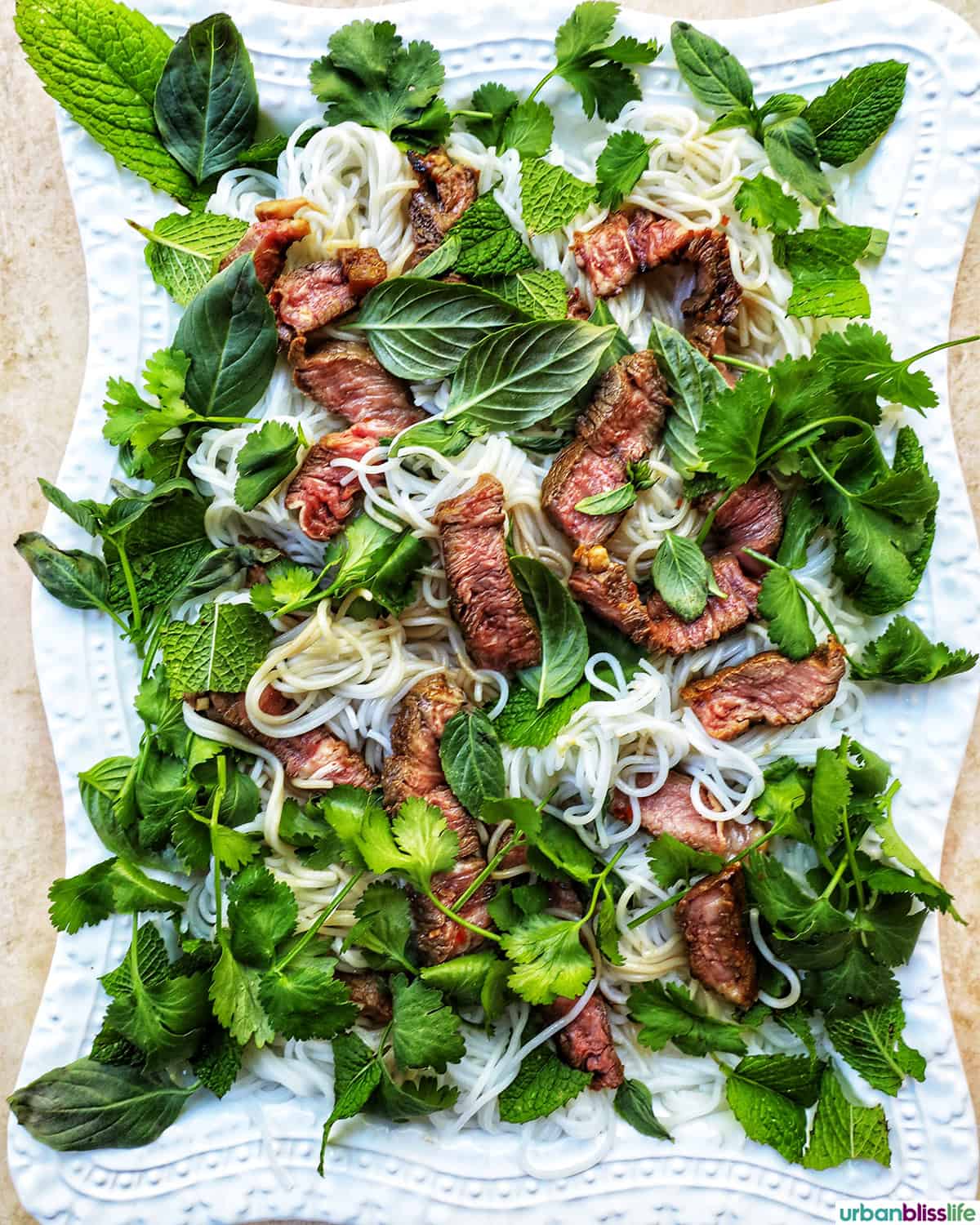 beef and salad and herbs on a plate.