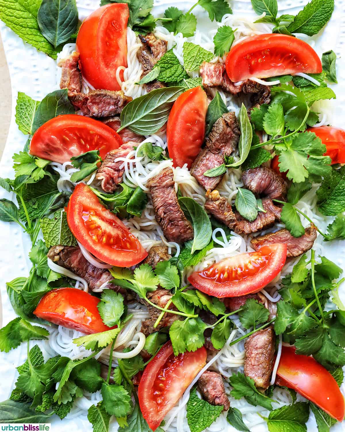 beef, tomatoes, herbs on a plate.
