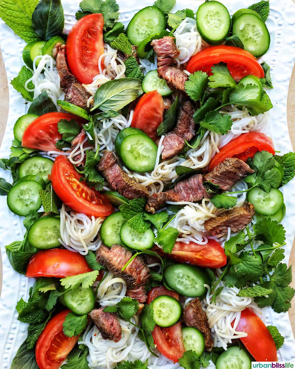 beef, tomatoes, cucumbers, and herbs on a plate.
